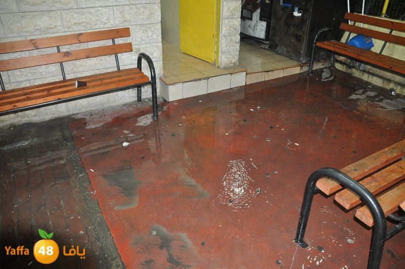 rain lud 1212 (11).JPG